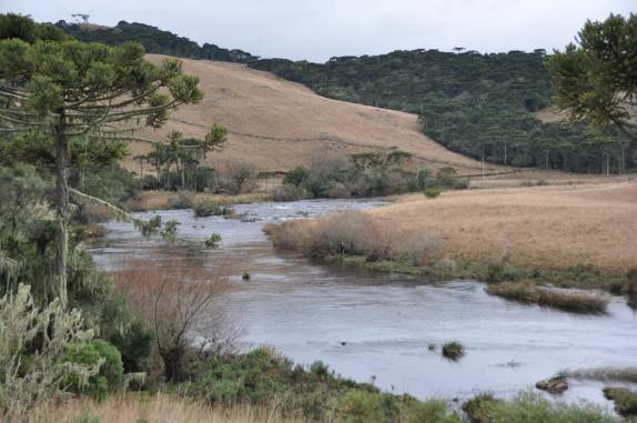Paisagem bucólica no entorno do rio Silveira, em São José dos Ausentes - RS